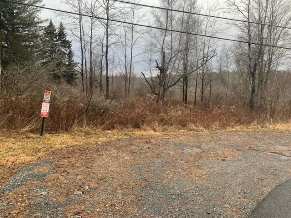 Image for Real Estate Auction - Monroe County PA