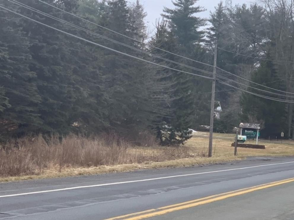 Image for Real Estate Auction - Monroe County PA