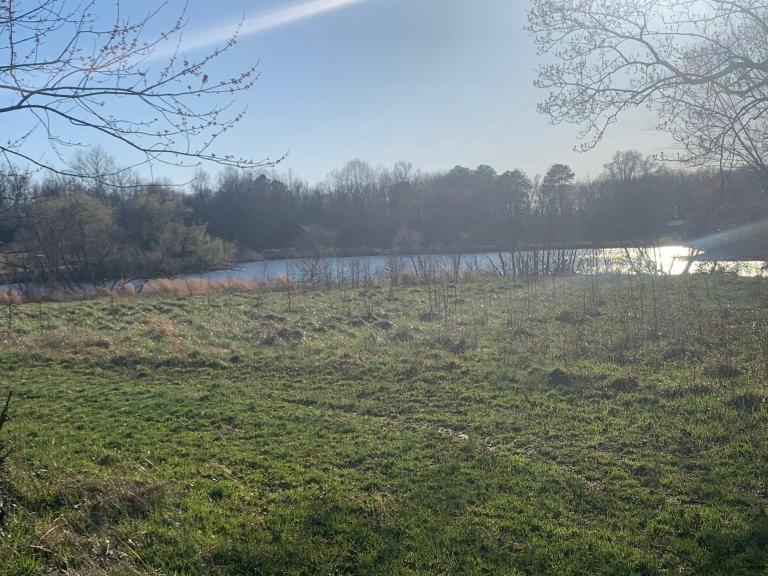 Image for Land Real Estate Auction - Centreville, MD