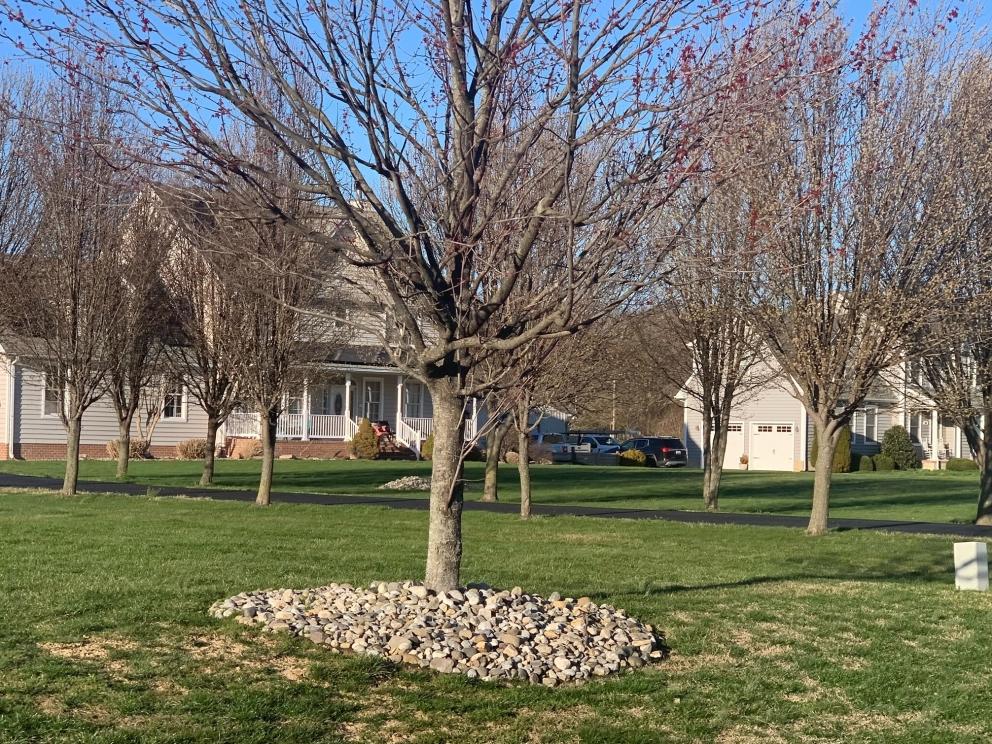 Image for Land Real Estate Auction - Centreville, MD