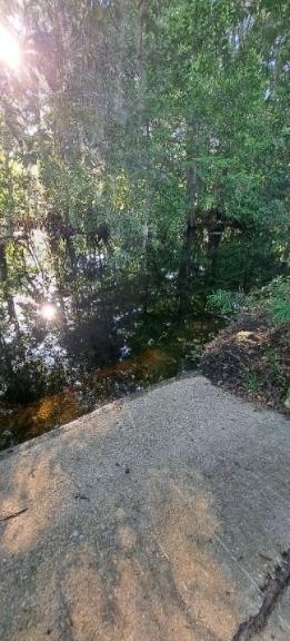 Image for ONLINE ONLY Real Estate Auction - Sumter County FL