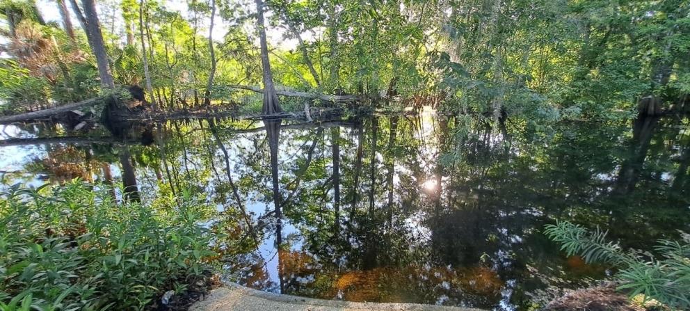 Image for ONLINE ONLY Real Estate Auction - Sumter County FL