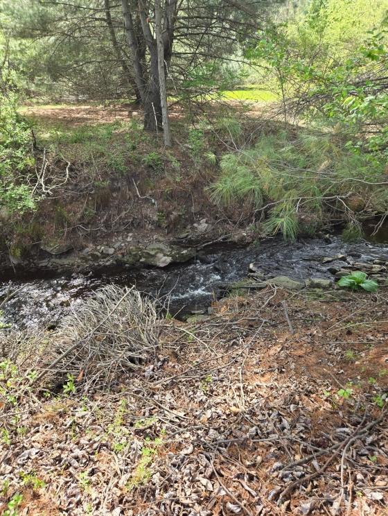 Image for Real Estate Auction - Vacant Land - Luzerne County