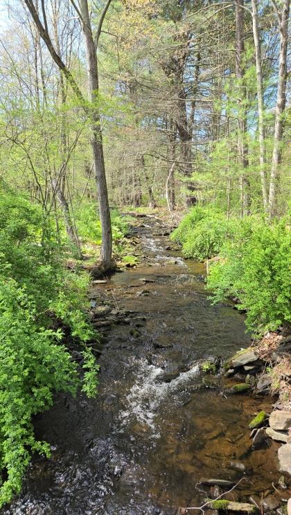 Image for Real Estate Auction - Vacant Land - Luzerne County