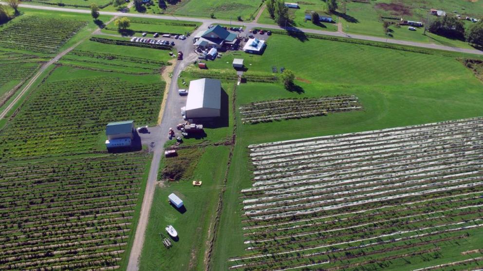 Image for SEALED BID AUCTION - Coyote Moon Vineyards | Turnkey Winery, Vineyard & Venue