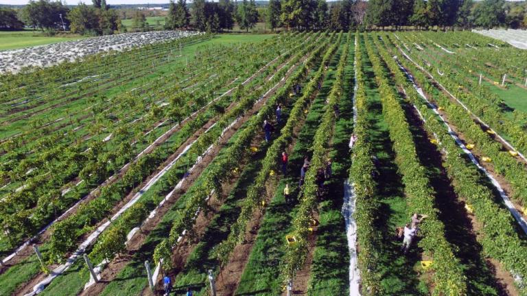 Image for SEALED BID AUCTION - Coyote Moon Vineyards | Turnkey Winery, Vineyard & Venue