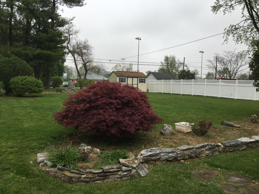Image for Absolute Real Estate Auction - Cape Cod Style Home