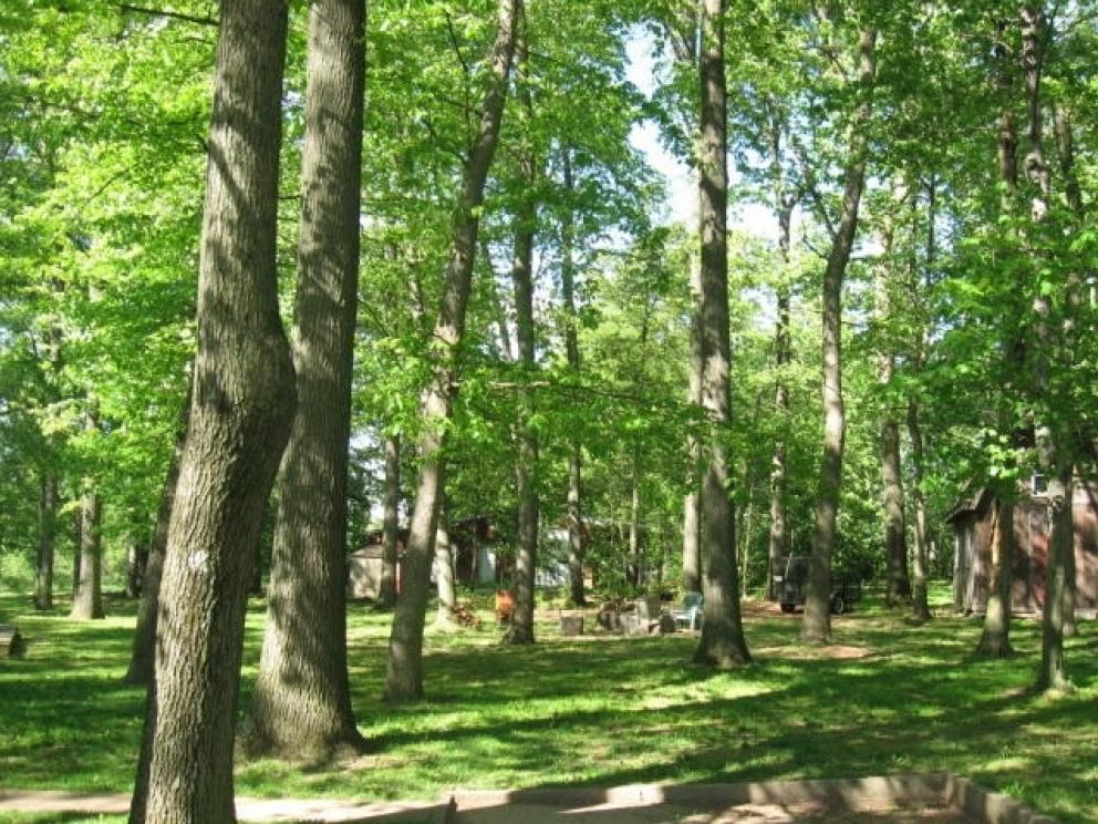 Image for Real Estate Auction  Myerstown, PA