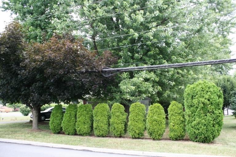 Image for Real Estate & Personal Property Auction Palmyra, PA