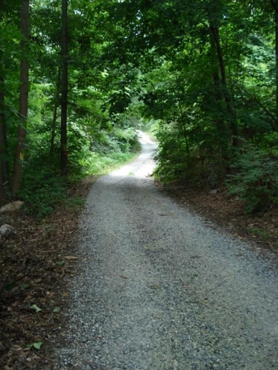 Image for Real Estate Auction - LAND 2 tracts of land in Fredericksburg,PA