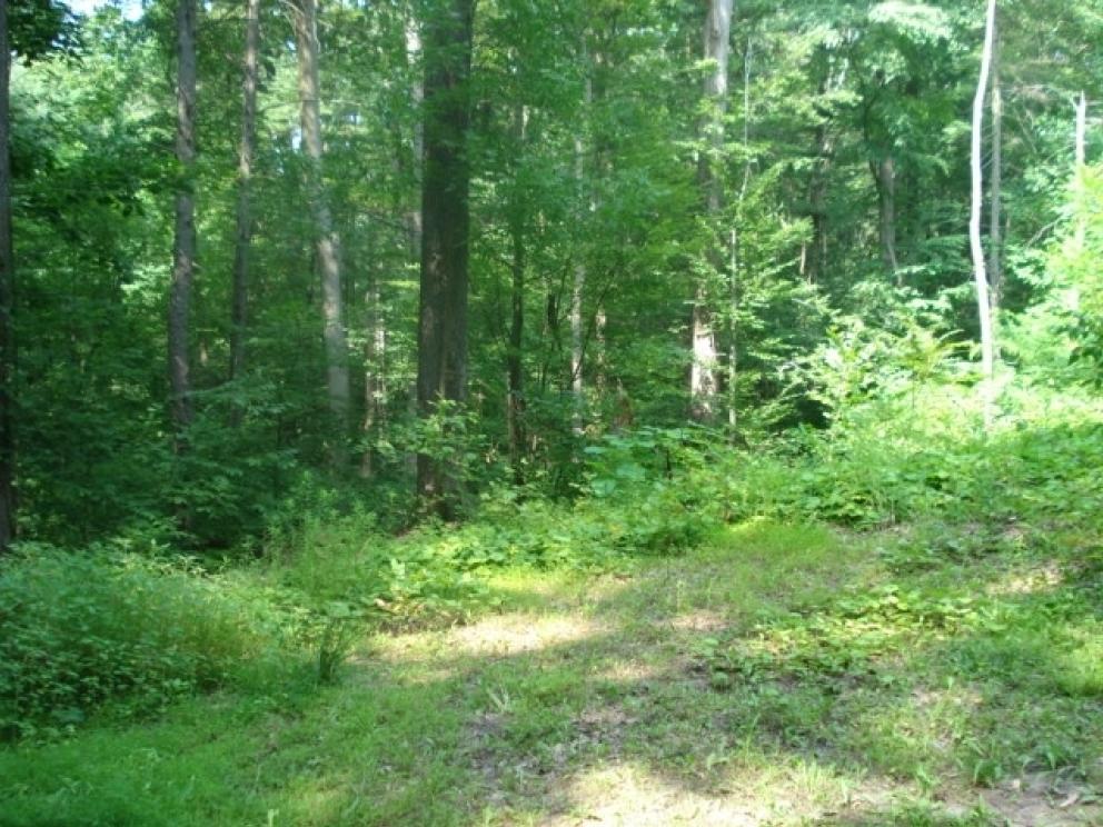 Image for Real Estate Auction - Land Mt. Gretna, PA