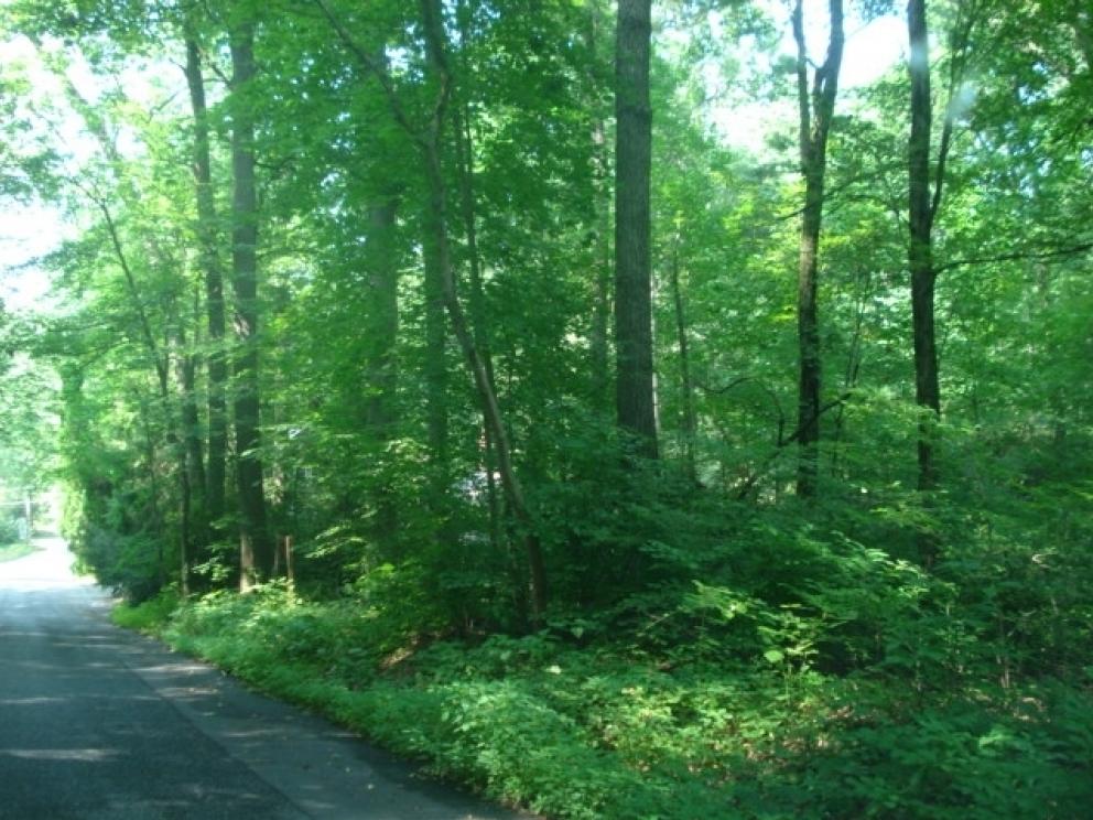 Image for Real Estate Auction - Land Mt. Gretna, PA