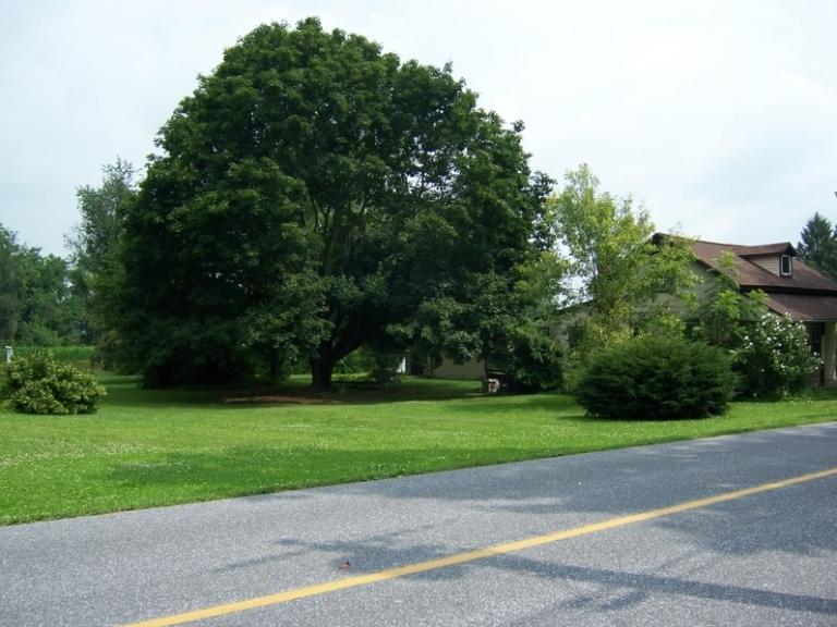 Image for Real Estate Auction Myerstown, PA