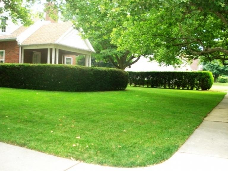 Image for Real Estate Auction  Brick Cape Cod - Lebanon