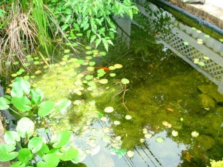 Image for Real Estate & Personal Property Auction Hershey, PA