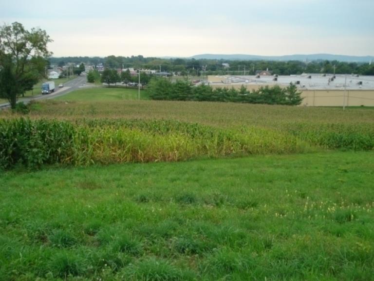 Image for Real Estate Auction - Vacant Land
