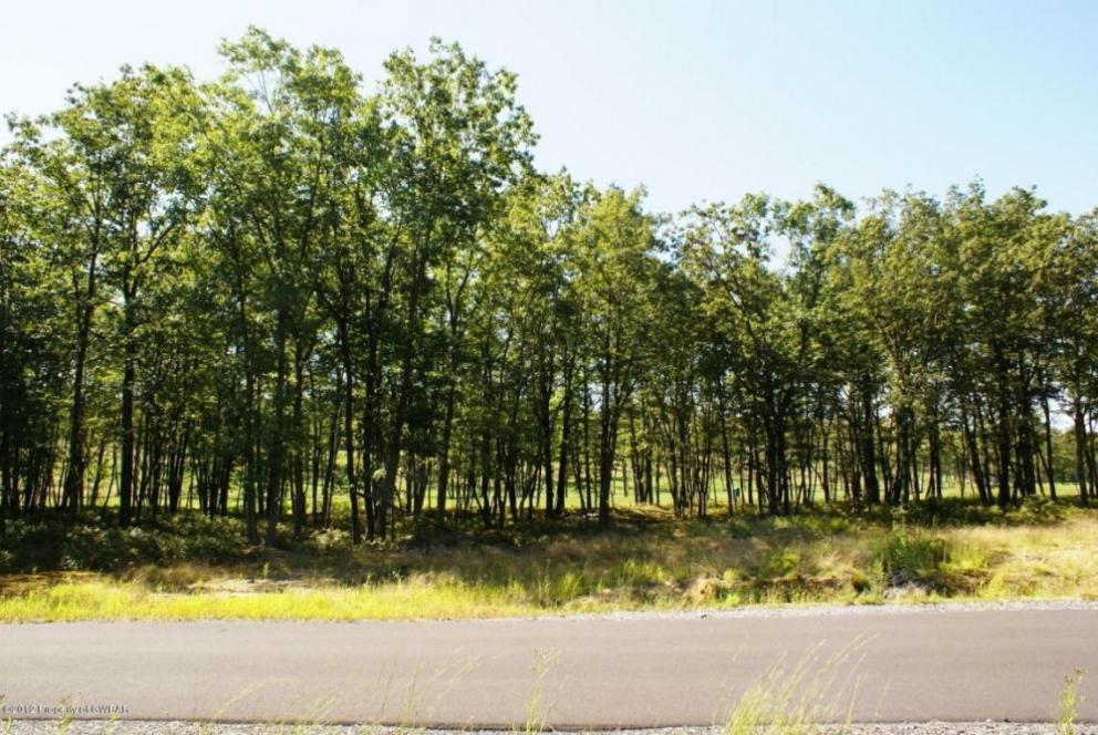 Image for Online Only Auction - Building Lot