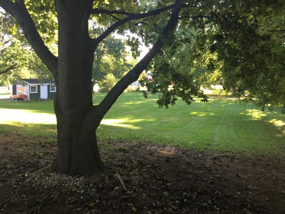 Image for Real Estate and Personal Property Auction - Ranch Home with Additional Lot