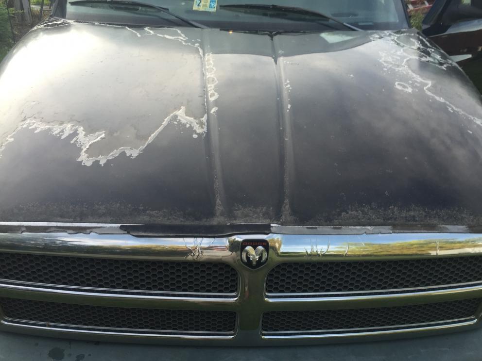 Image for 1999 Dodge Ram 1500