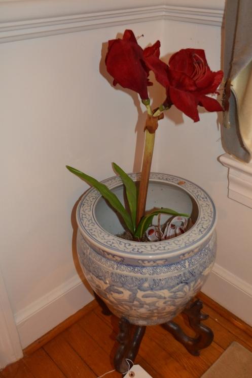 Image for The James P. Bailey Trust