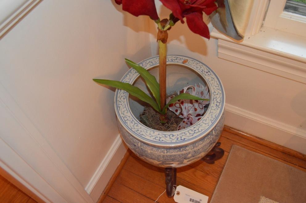 Image for The James P. Bailey Trust