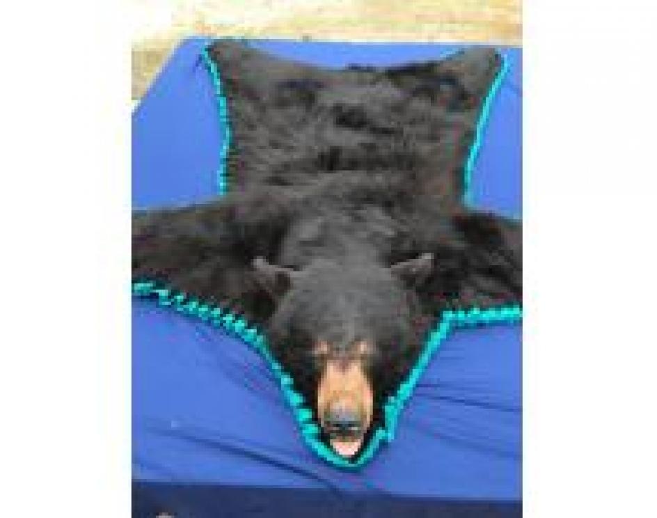 Image for The Charles E. Robens Trust