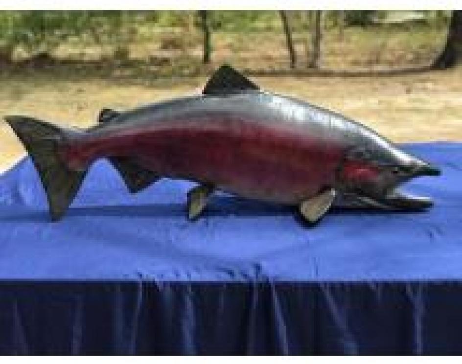 Image for The Charles E. Robens Trust