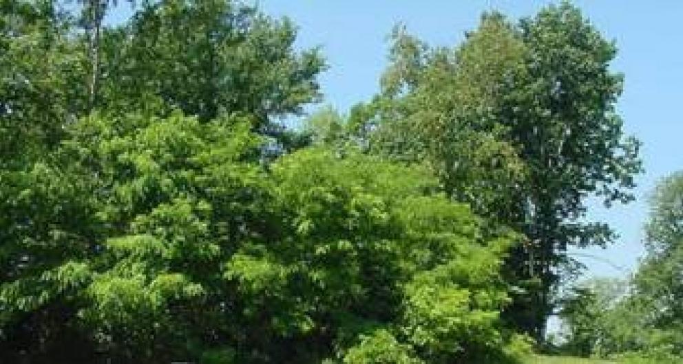 Image for BANK-OWNED PROPERTY AUCTION WATERFRONT LOT