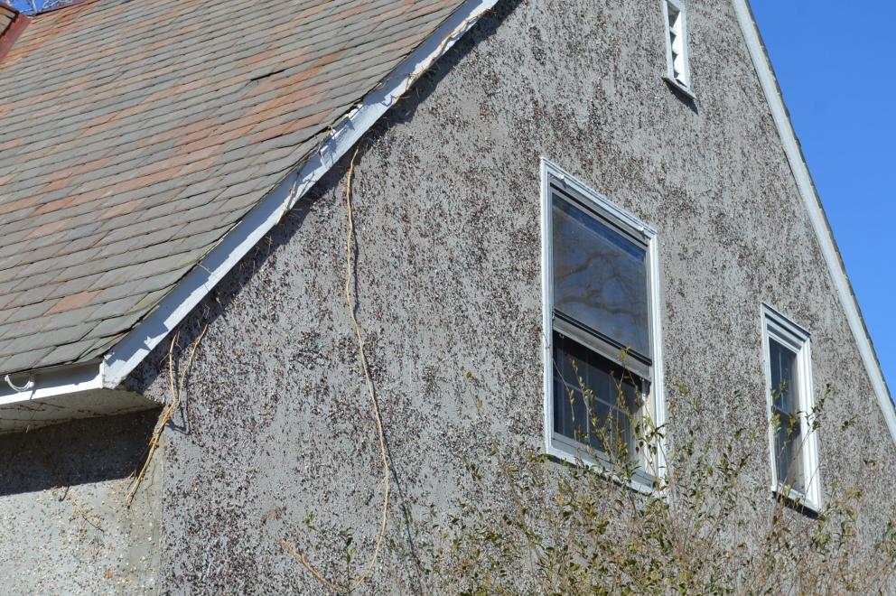 Image for Valuable Real Estate NEWPORT NEWS , VA