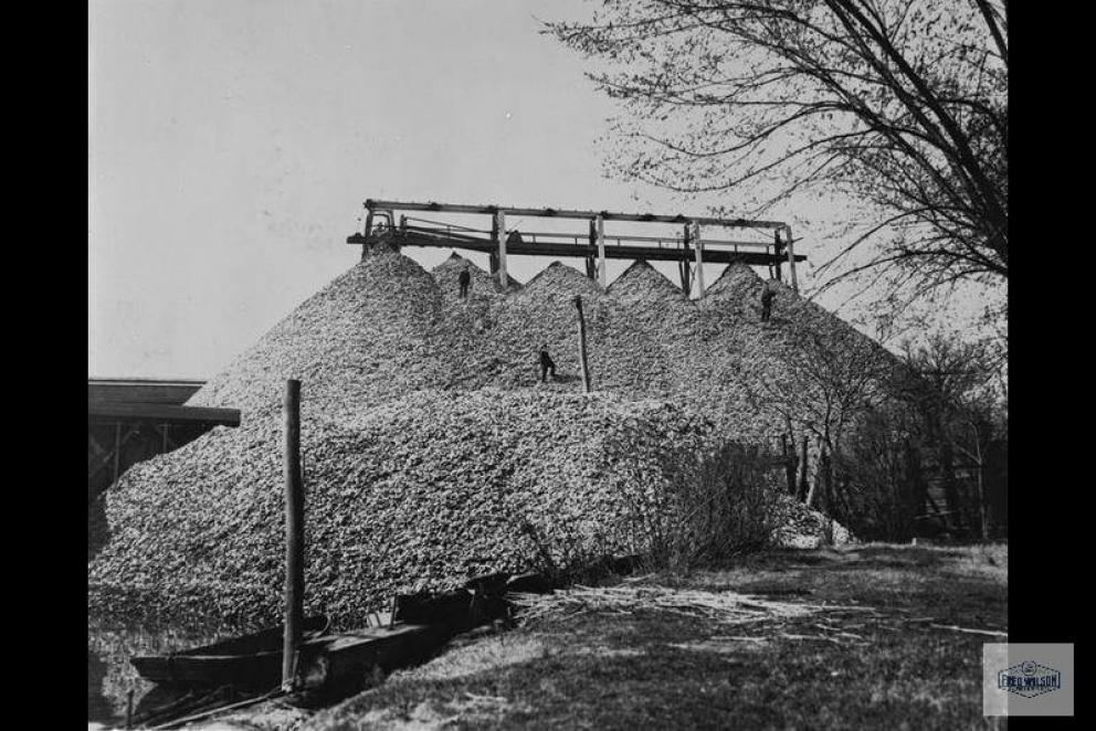 Image for Tormey/Darling Estate Auction