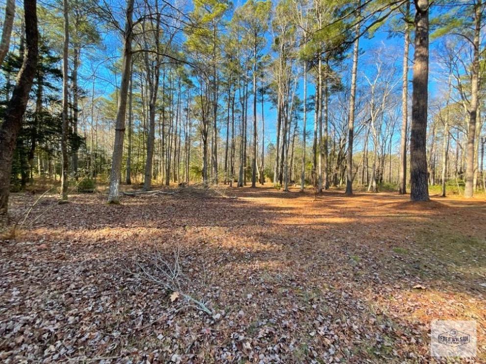 Image for MATHEWS COUNTY REAL ESTATE