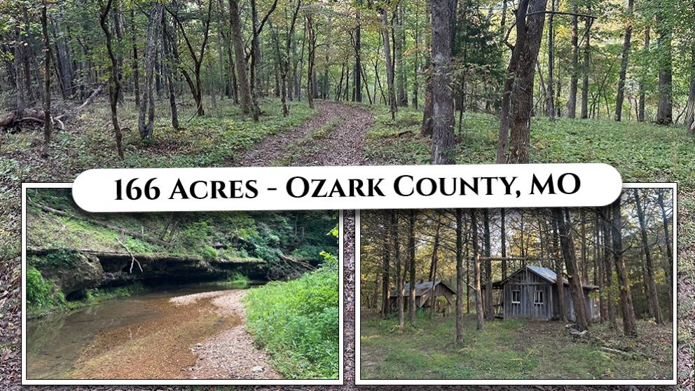 Gary Sexton Ozark County Missouri For Sale 160 Acres