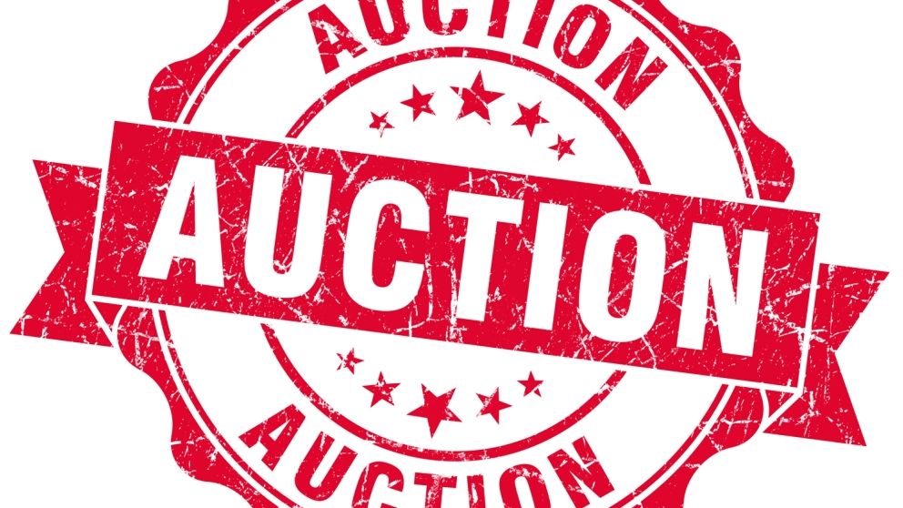 Auction-graphic