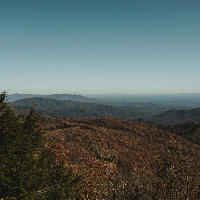 Pexels-airamdphoto-8657081 (1)