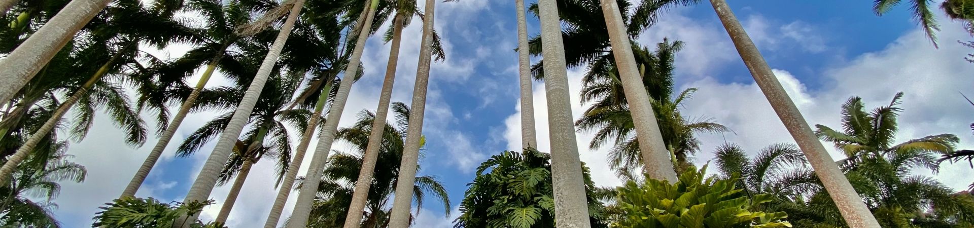 Joshua-gobin-wfxlsrpi fq-unsplash