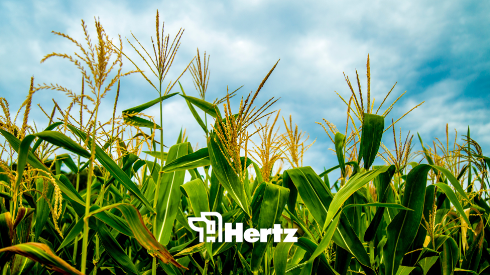 Blog cover photo farmland values still strong but upside limites