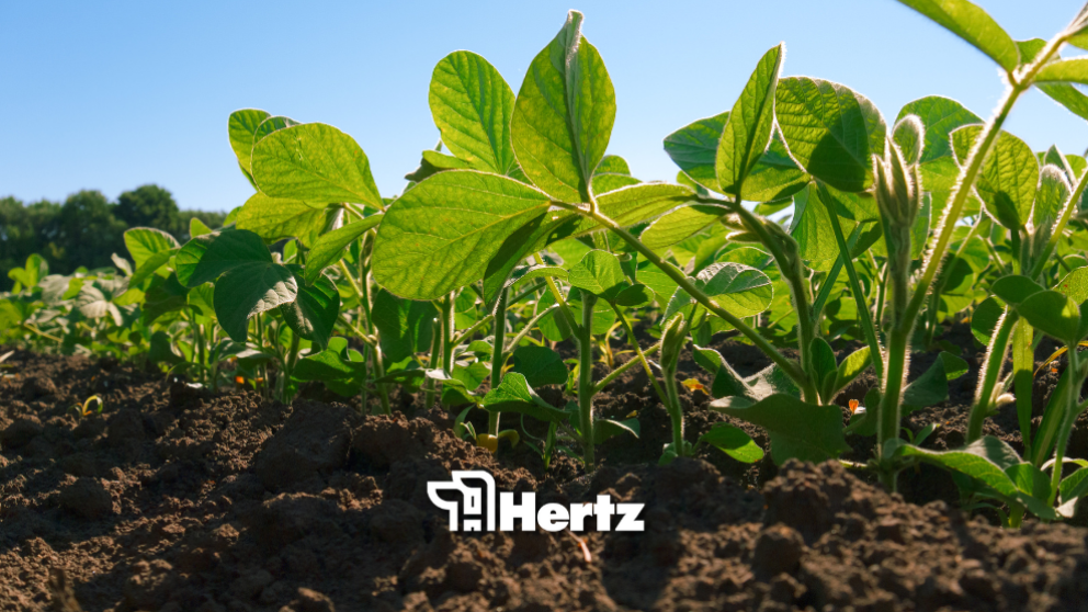 Blog headers (29)