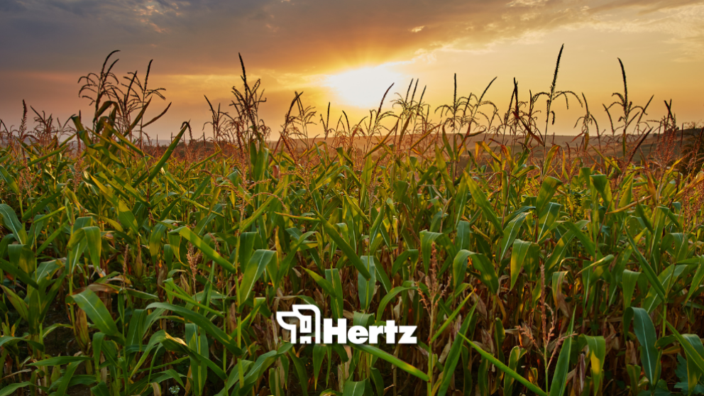 Blog headers