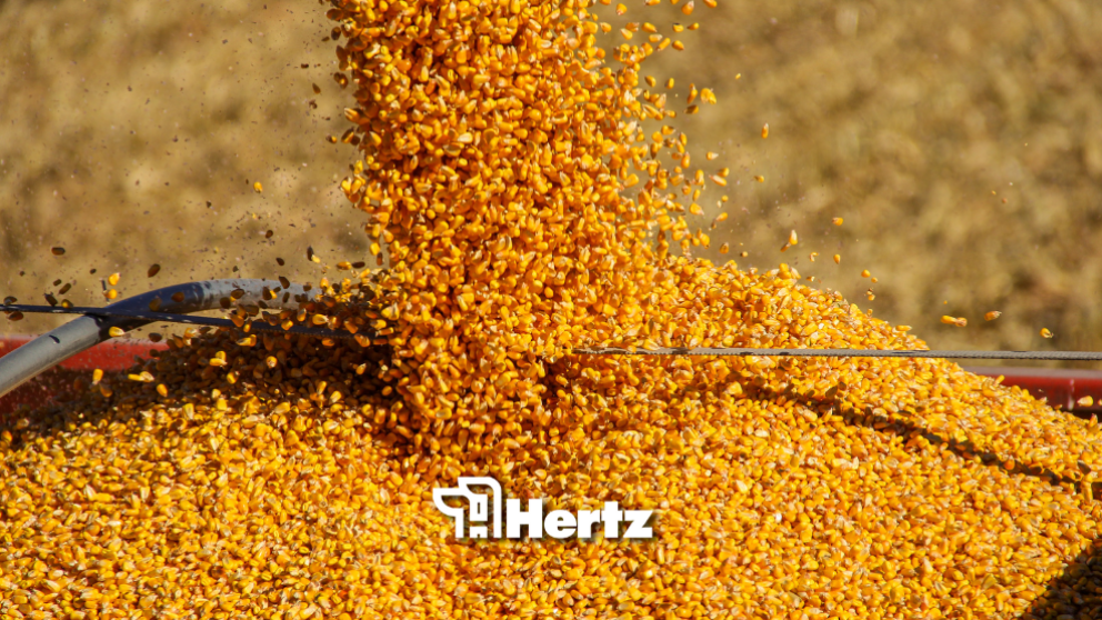 Garin markets winter 2025