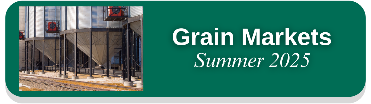 Article Link Button to Grain Markets Summer 2025