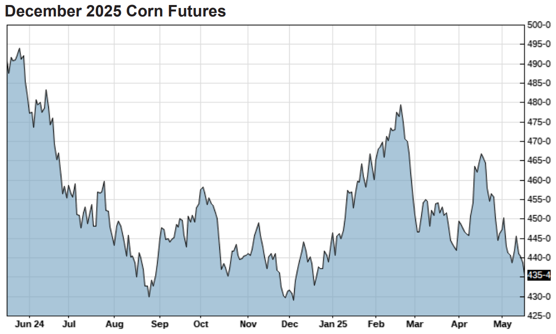 Line chart showing December 2025 corn futures from June 2024 to May 2025. Prices peaked near 500 in late June 2024, declined through fall, then rallied in early 2025 before falling to around 435 in May.