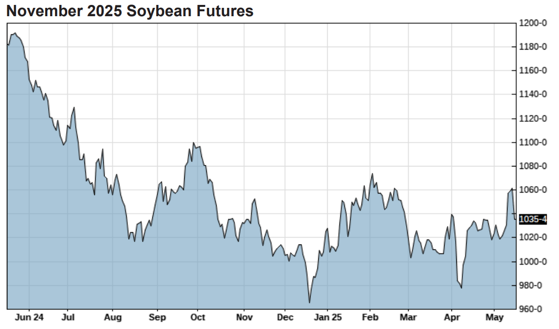 Line chart showing November 2025 soybean futures from June 2024 to May 2025. Prices fell sharply from above 1180 in June 2024, bottomed near 960 in January, and recovered to around 1035 in May.