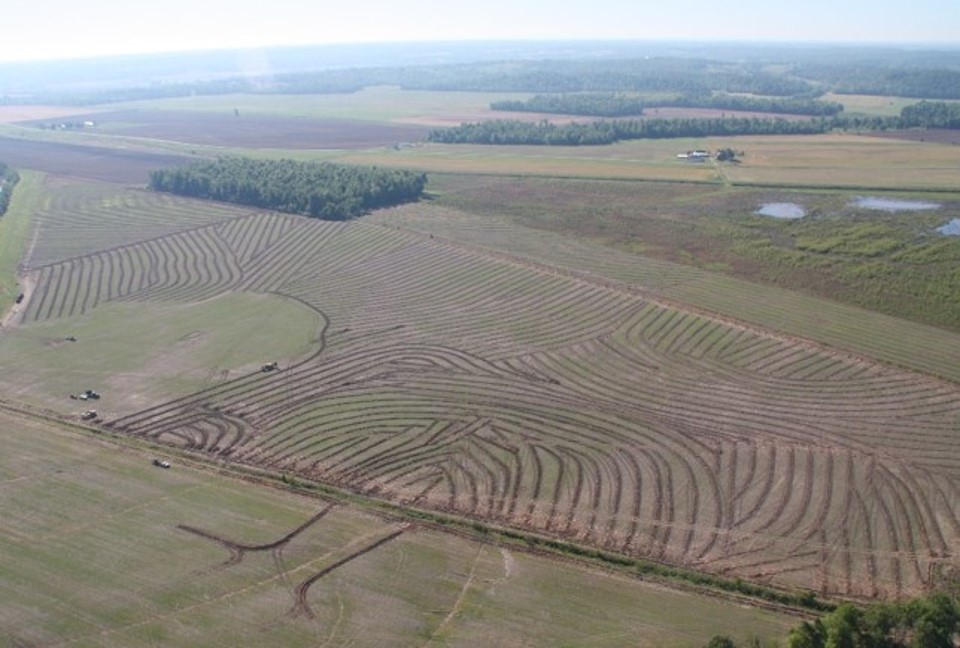 Pattern Tiled Field