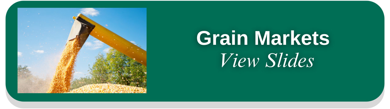 Grain Markets presentation thumbnail (Winter 2026)