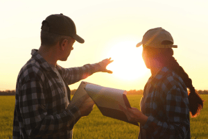 Farmland real estate professionals discussing property details at sunset with field in background