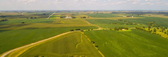 Farm manager and landowner standing in corn field. Using technology to help make smart farm decisions.