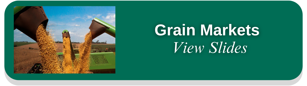Grain Markets presentation thumbnail (Winter 2026)