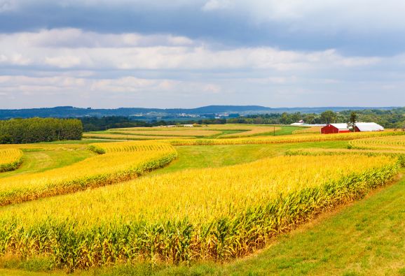Different types of farmland