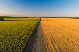 Farmland real estate professionals discussing property details at sunset with field in background