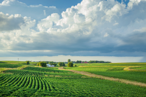 Historic farmland consultation meeting among landowners and real estate professionals in the field